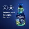 Downy Infusions Laundry Fabric Softener Liquid, Refresh, Birch Water &