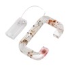 Floral Resin Letter Light Dry Flower and Alphabet Shape LED
