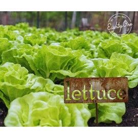 Classic Metal Garden Markers 19 Inches Tall (lettuce, Naturally Rusted)