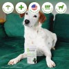 SensoVet Probiotic Chews for Dogs + Advanced Prebiotic Enzymes |