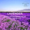 ROSE COTTAGE Large 12 Packs Lavender Hanging Closet Deodorizer Air
