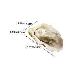 Kisangel Vivid Food Toys Set 4pcs Artificial Shellfish Seafood Oysters Models Pretend Play Food Toys for Boys and Girls