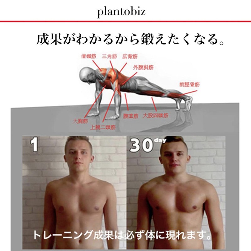 Plantobiz Push Up Bar, Muscle Training, Goods, Push Stand, Metal,