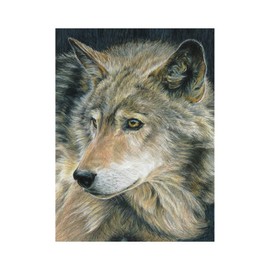 Royal & Langnickel - Paint by Numbers Wolf Colouring Pencils with Sharpener, for Adults and Children from 8 Years