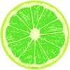 Lime Fruit Slice Citrus Kitchen Wall Decal 24 in