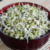 Whole dried Organic Mung Beans aka 'Green Gram' 'Maash' 'Moong'