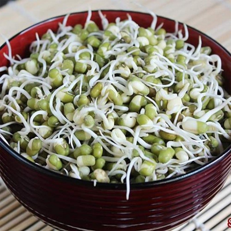 Whole dried Organic Mung Beans aka 'Green Gram' 'Maash' 'Moong'