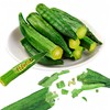 Okra Chips Freeze Dried Vegetables - Crunchy Dehydrated Okra Crisp,