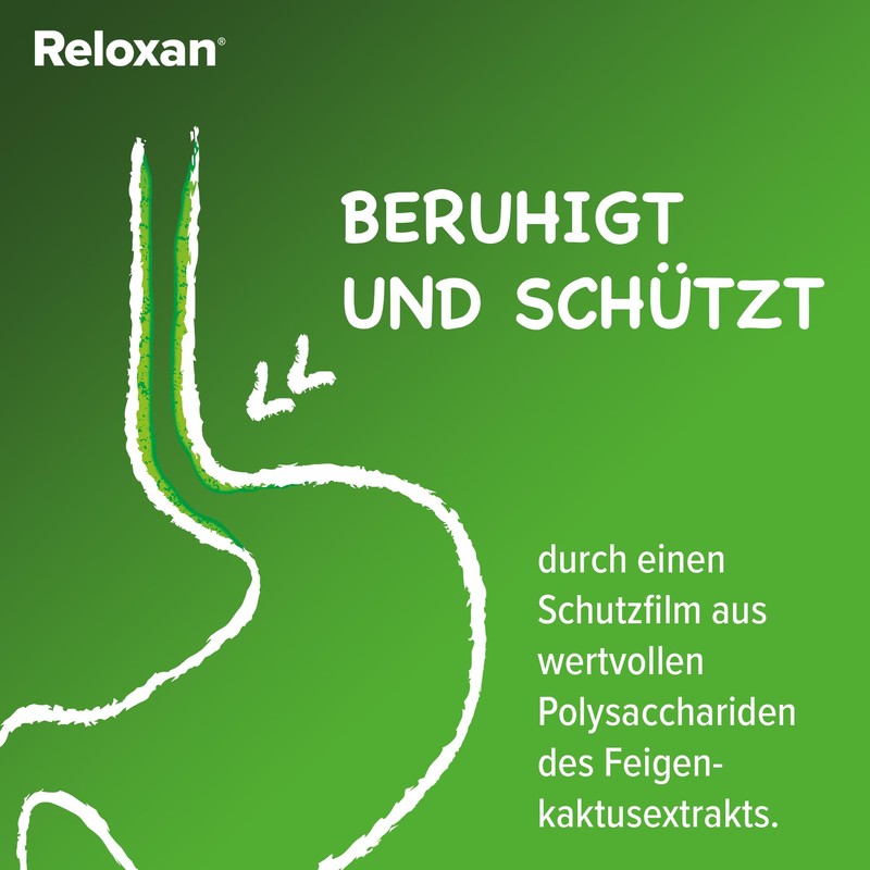 Reloxan Minze, 48 Stück