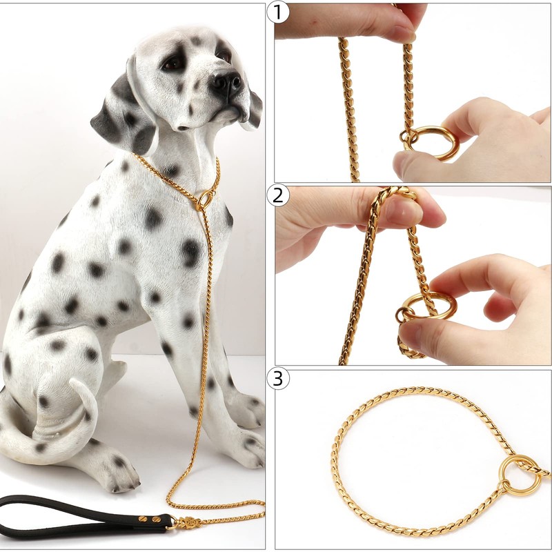 CaptainSteeL Stainless Steel Dog Leash and Collar, 3ft/4ft, 5mm 1m/1.2m