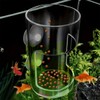 AIMALL Floating Fish Feeding Ring – Hanging Aquarium Food Feeder