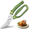 CHEN-KE Rust Resistant Heavy Duty Multipurpose Kitchen Shears-Green