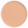 Youngblood Ultimate Concealer 2.8g (Various Shades), Fair