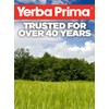 Yerba Prima Fiber Plus Senna Capsules, 180 Count - Gentle
