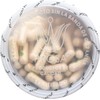 Garlic 150 Cap