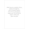 Believe in the Magic of Christmas Greeting Card with Dolphin