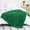 Puncuntex Flannel Fleece Throw Blanket Classic Green 50"×60",Super Soft Plush