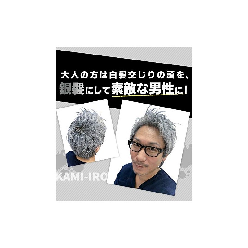 KAMI-IRO Hair Color Wax, 3.5 oz (100 g), Silver