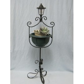 Plantar with Solar Light