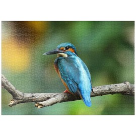 Puzzle Galaxy Premium 1000-Piece Jigsaw Puzzle