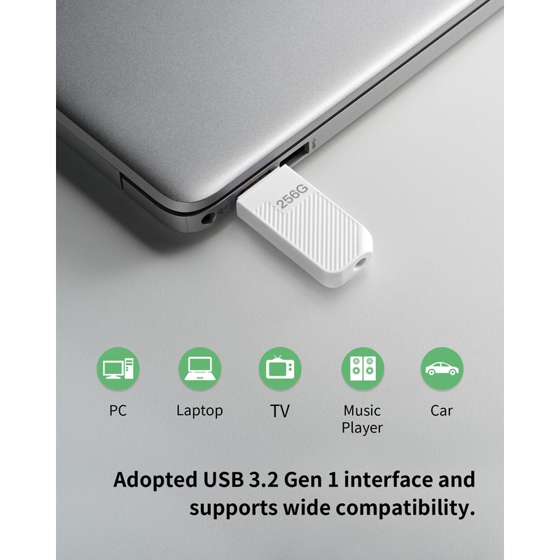 Acer USB Flash Drive UP300 64GB