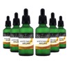 6 Frascos Aceite De Argán Puro 300ml Para Piel y