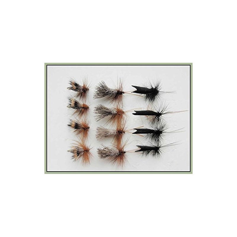 12 Special Dry Trout Flies, Black Horn Sedge, G &