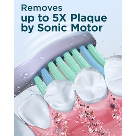 Rtauys M5 Sonic Electric Toothbrush for Adults - Rechargeable Electric Toothbrushes with 8 Heads & Travel Case, Power Electric Toothbrush with Holder, 3 Hours Charge for 120 Days - Light Purple