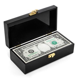 Tlence Black Acrylic Lockable Cash Box, 6.5 Inch Money Boxes for Cash, Small Single Row Currency Tray, Mini Money Storage Lock Organizer, Money Holder Piggy Bank for Saving Collector