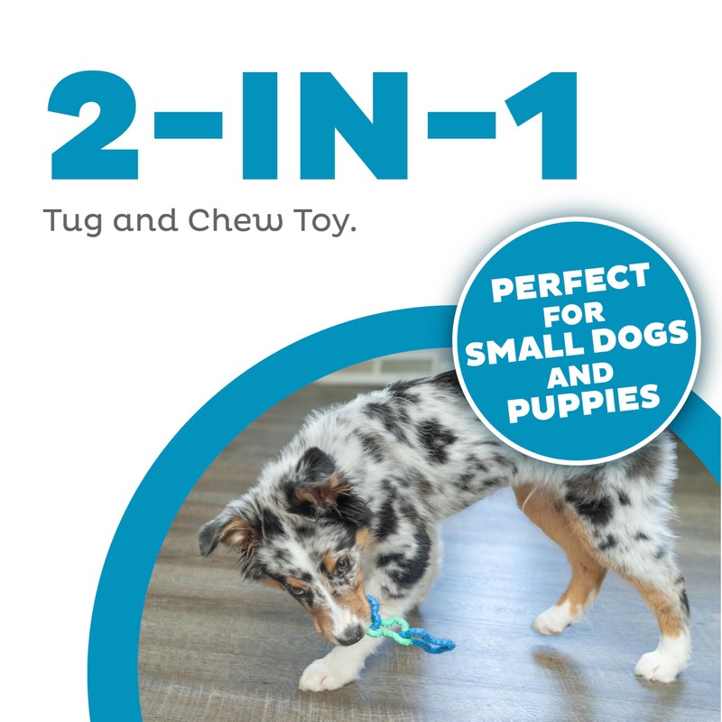 Outward Hound Bone Tugz Tug-of-War Dog Chew Toy, Blue