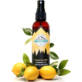 Natural Shoe Deodorizer Spray & Odor Eliminator by Lumi Outdoors - Fresh Citrus Tea Tree Essential Oil Odor Eater