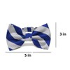 tiemart Striped Bow Tie (Royal Blue and Silver)