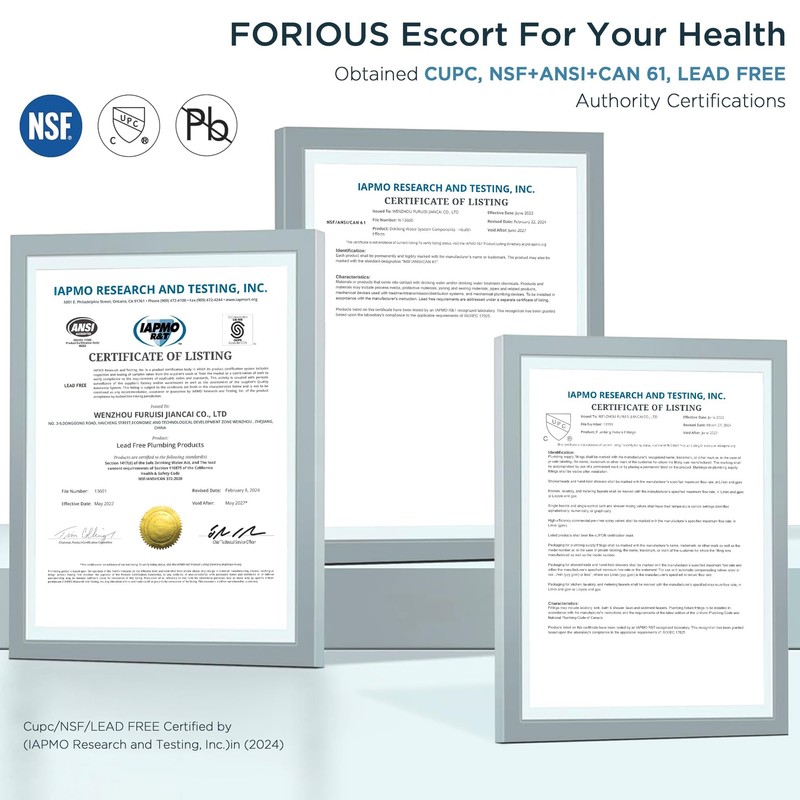 FORIOUS Kitchen Faucets with Pull Down Sprayer, Brushed Nickel Stainless