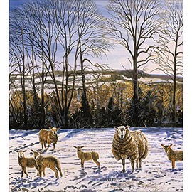 Woodmansterne Pack of 5 Winter Flock Charity Christmas Cards Supporting Multiple Charities 473777 473777