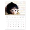 My wild power animal full of mindfulness (Monthly Wall Calendar