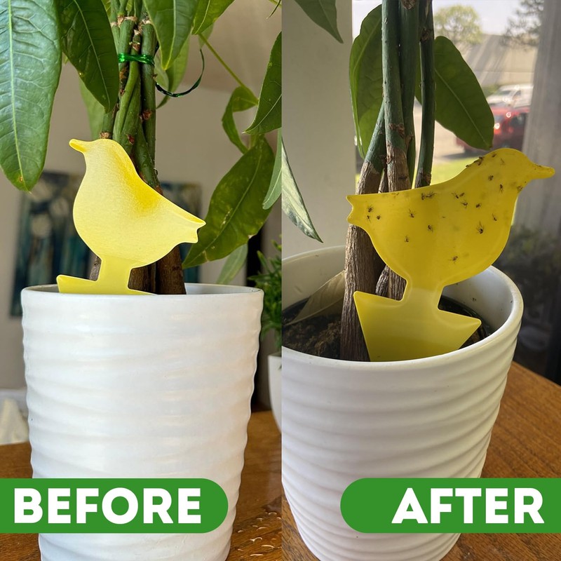Kate's Home & Garden Plant Spray for Insects & Getting