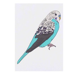'Blue Budgie' Temporary Tattoo - Water Resistant, Skin-Safe, Non-Toxic Transfer (TO00033878)