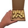 SKIR'CO (Pack of 10) Brass Drop in Anchor M14 x