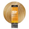 L'oreal Excellence Hicolor, Blond/Ash Highlights, 1.2 Ounce