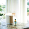 Tree of Life Blending Essential Oil Day-DAY 0.3 fl oz
