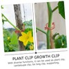 BESPORTBLE 100pcs Plastic Plant Clip Tomato Stakes and Supports for