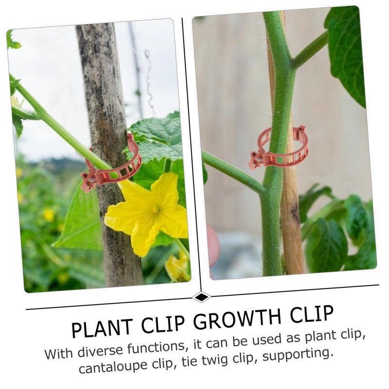 BESPORTBLE 100pcs Plastic Plant Clip Tomato Stakes and Supports for