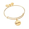 Alex and Ani Grandma Charm Bangle