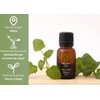 OLEUM VITAE. Aceite Esencial de Melisa. Melissa Officinalis. 100% Puro