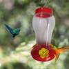 Humming Birds Feeders for Outside - Decorative Birdfeeder with Hanging