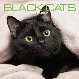 Black Cat 2025 Calendar