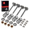 Intake Valve & Exhaust Valve and Seals & Spring &