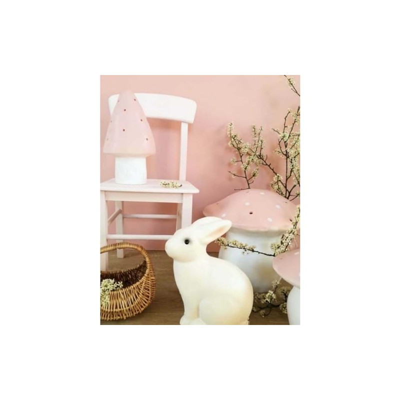 EGMONT TOYS - Lampe veilleuse Canard