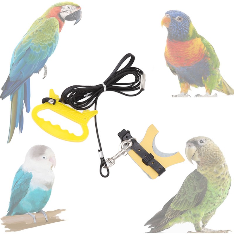 Bird Harness Leash Elastic Easy To Wear Portable Bird Traction