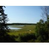 Pietron Family 1 lb. Wild Rice Minnesota Hand Harvested Wood